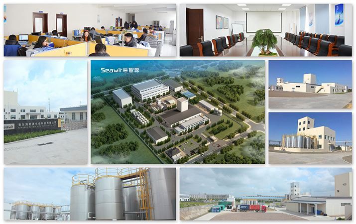 seawit factory